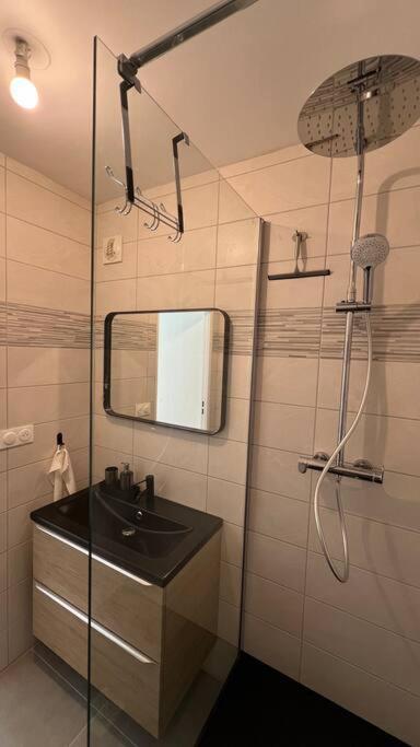 Le Nid Champenois Apartment Reims Ngoại thất bức ảnh