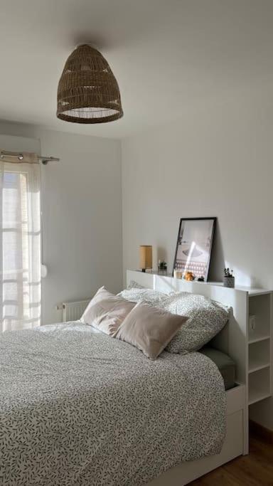Le Nid Champenois Apartment Reims Ngoại thất bức ảnh