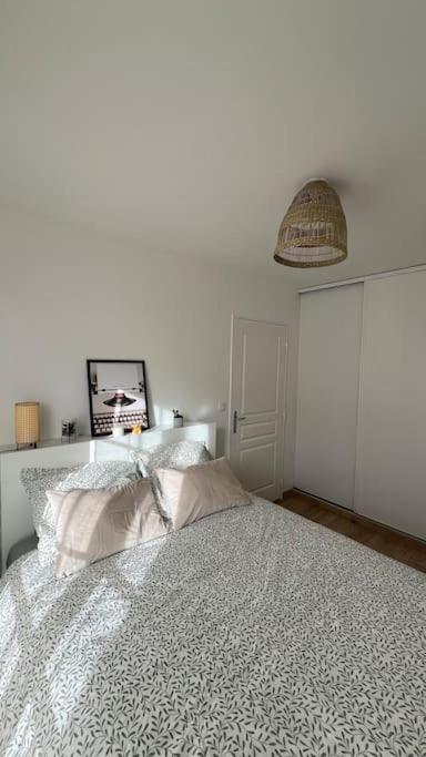 Le Nid Champenois Apartment Reims Ngoại thất bức ảnh